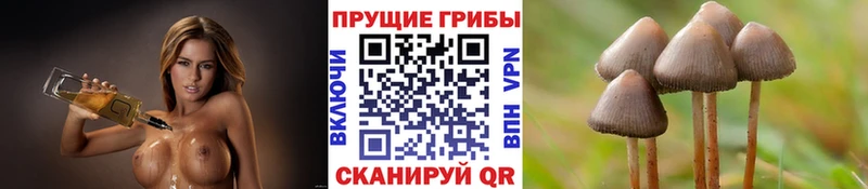 закладки  дарк нет клад  KRAKEN зеркало  Псилоцибиновые грибы мухоморы  Верхняя Салда 